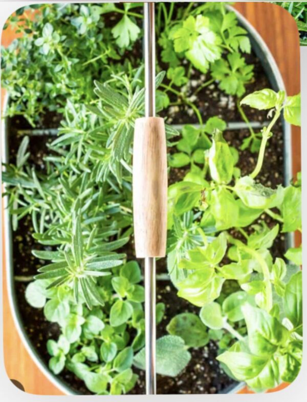 12" Oval Herb Planter (4 herbs)